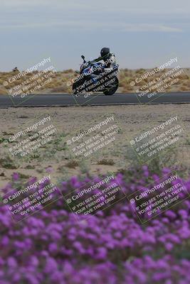 media/Jan-14-2023-SoCal Trackdays (Sat) [[497694156f]]/Turn 14 Exit Bloomig (145pm)/
